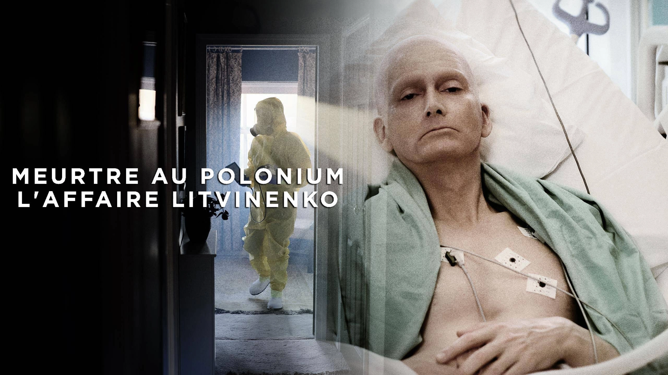 Litvinenko