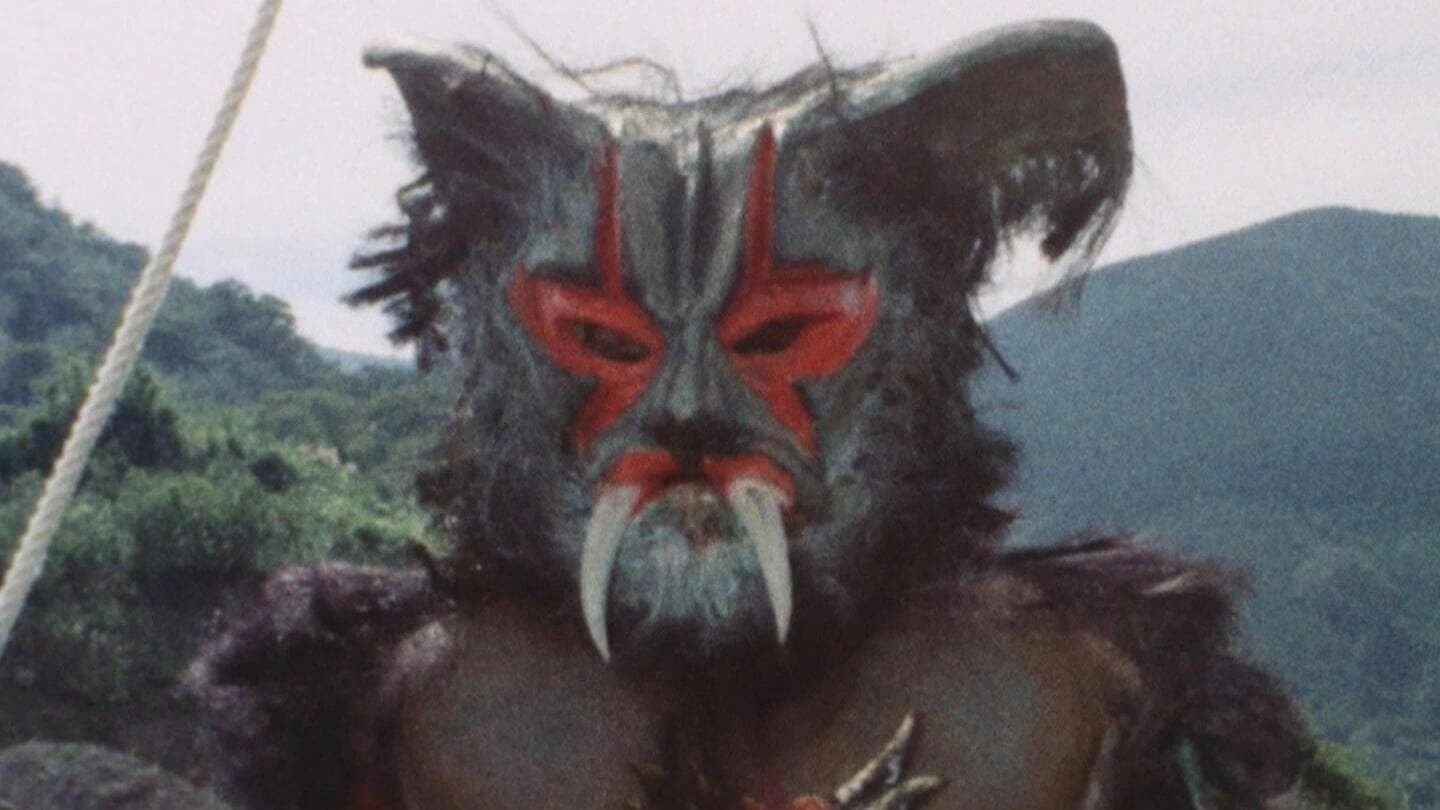 Kamen Rider V3