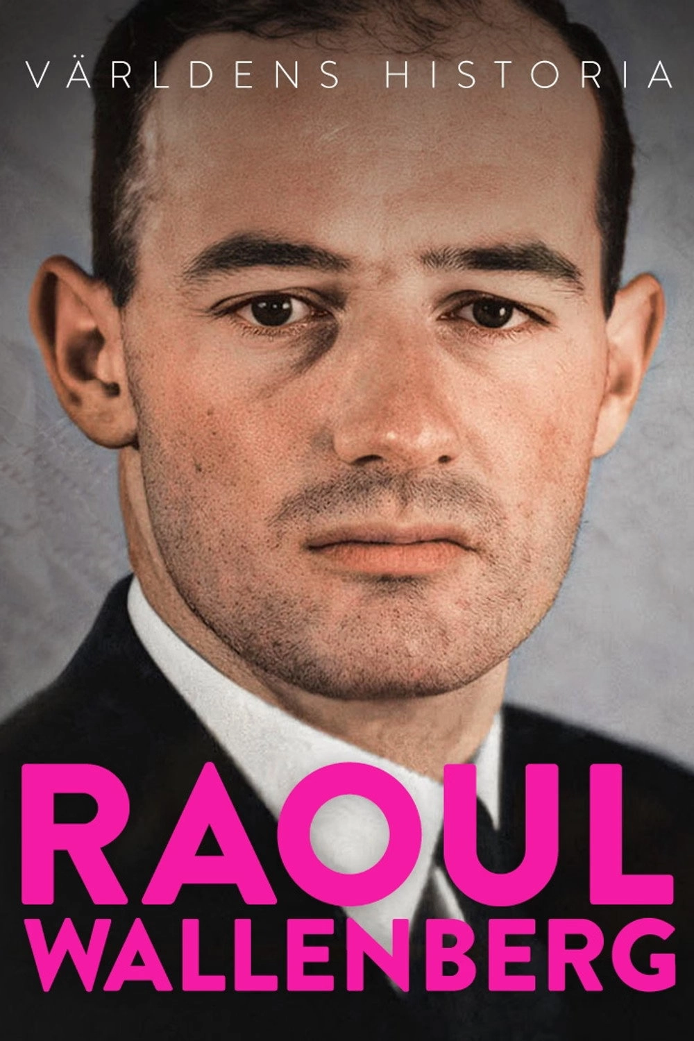 Raoul Wallenberg: Missing Inaction