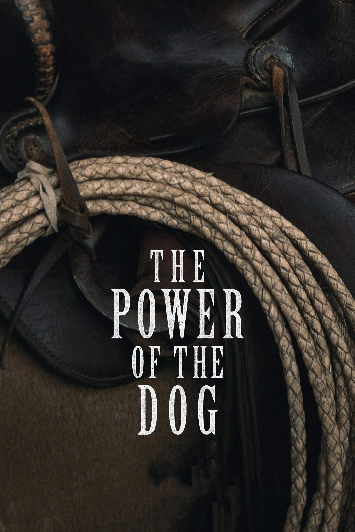 The Power of the Dog