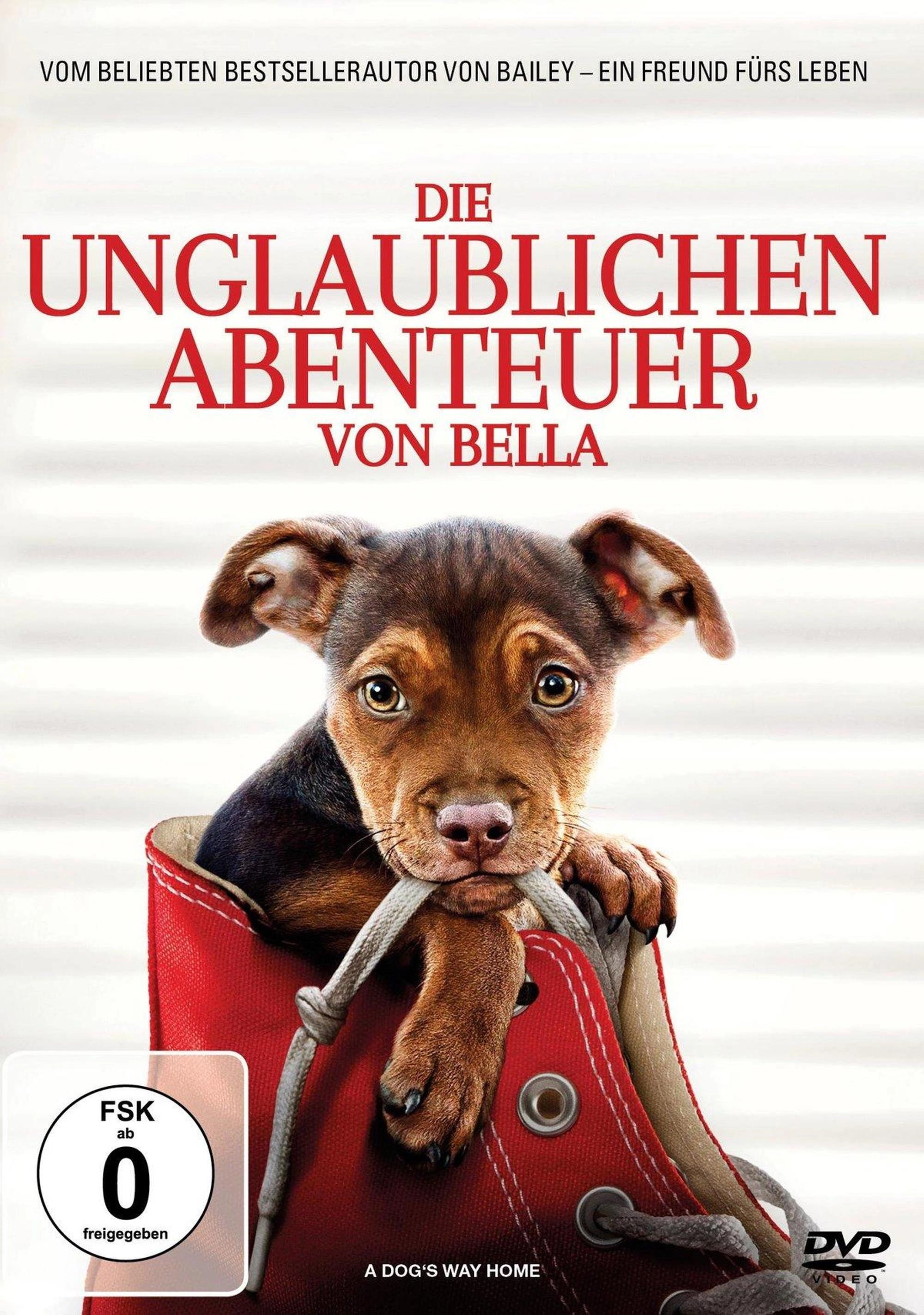 A Dog's Way Home
