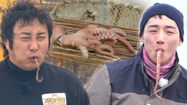 Law of the Jungle