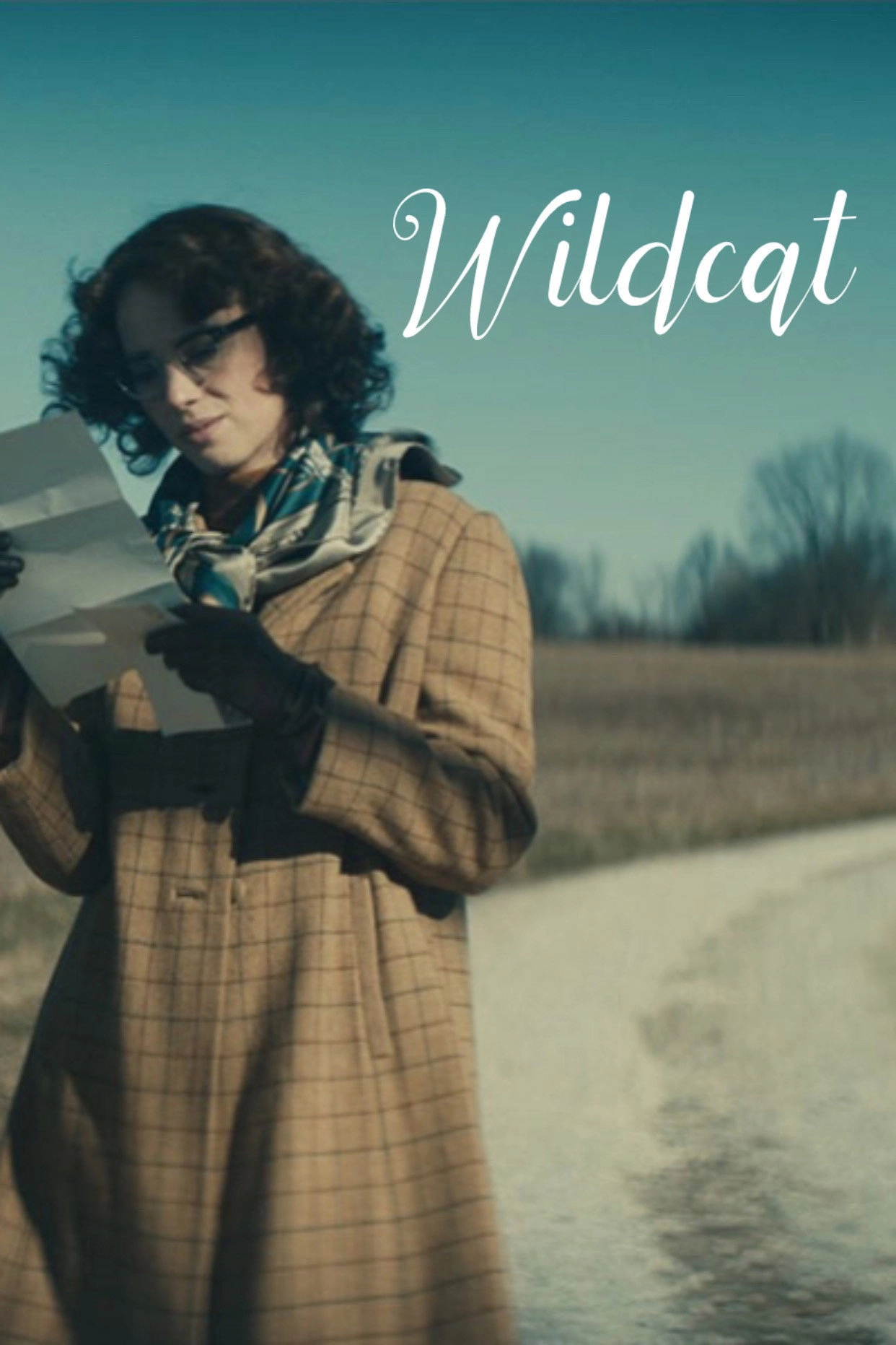Wildcat