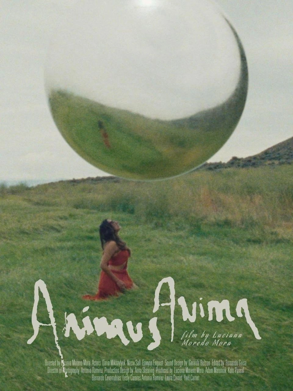 Animus Anima
