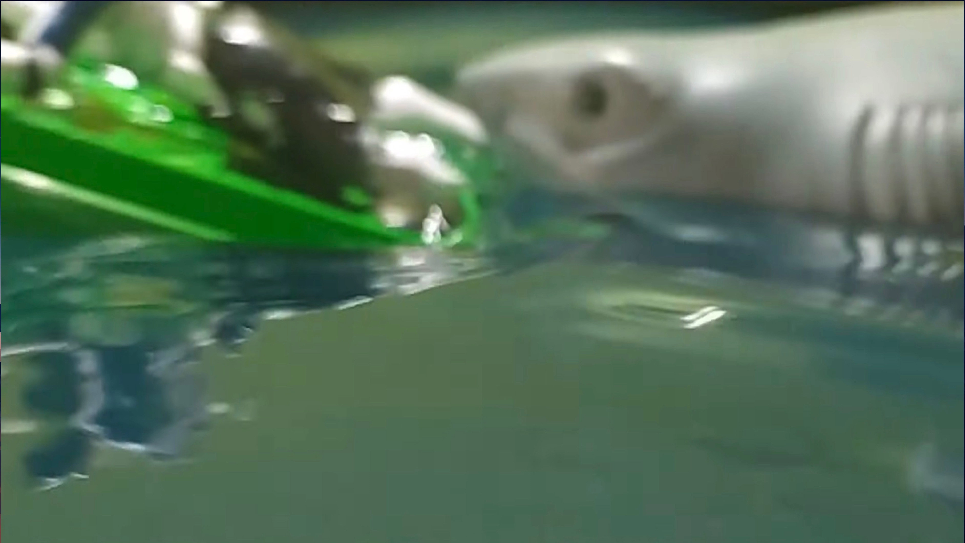 Jaws Toy Movie
