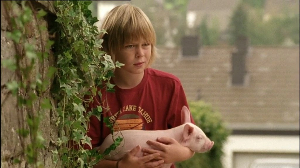 Rennschwein Rudi Rüssel