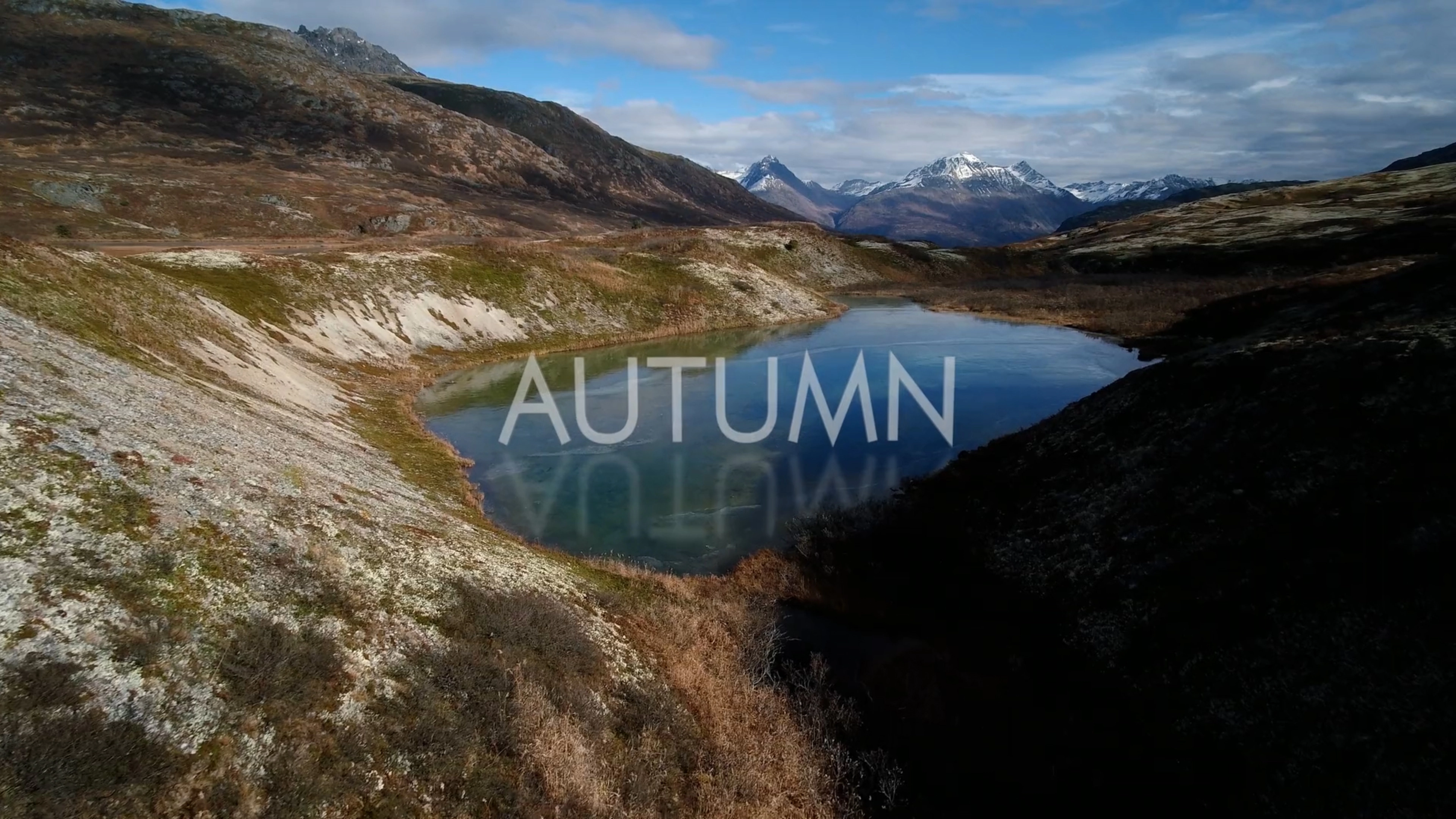 America's Wild Seasons