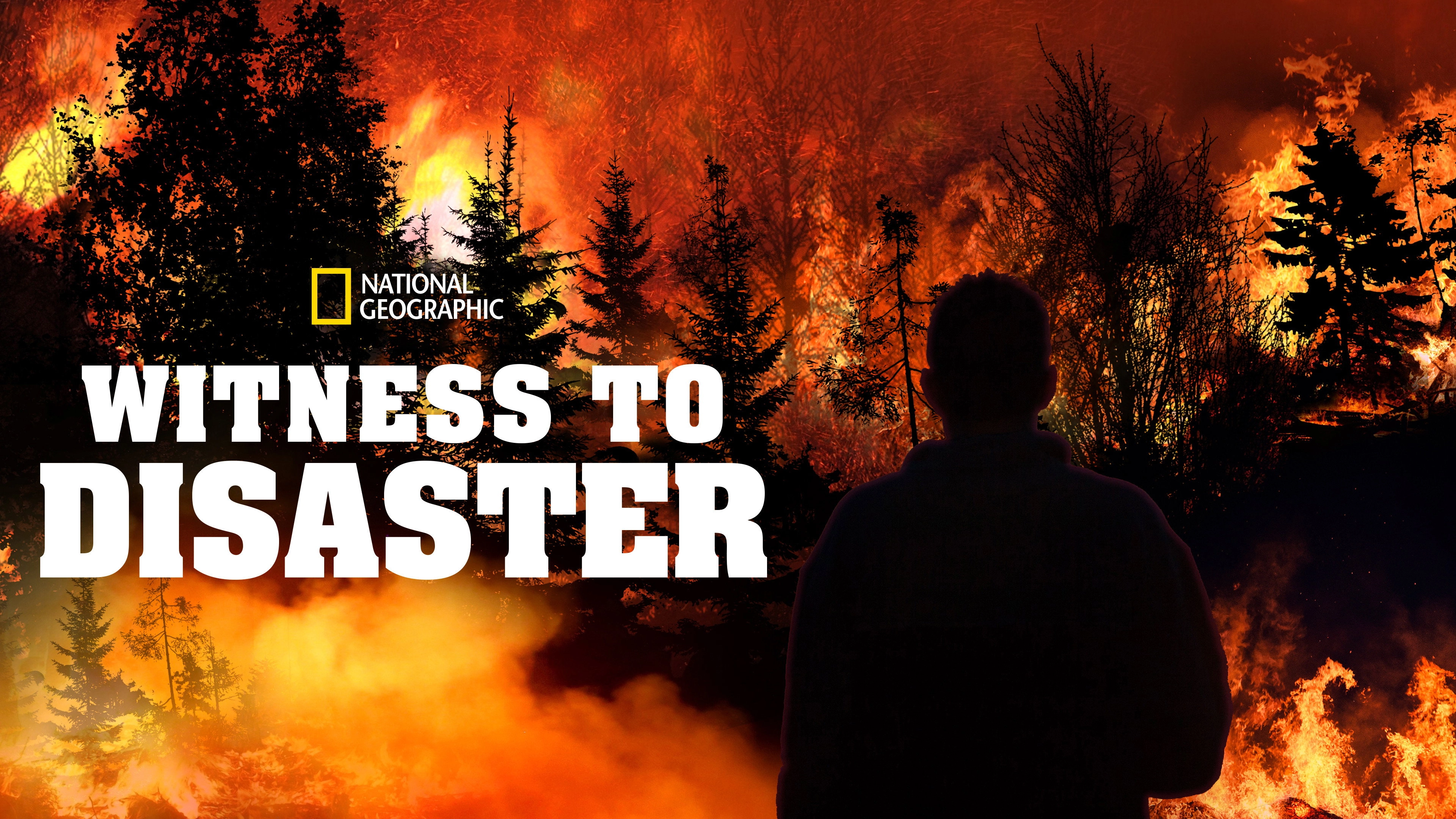 Witness to Disaster