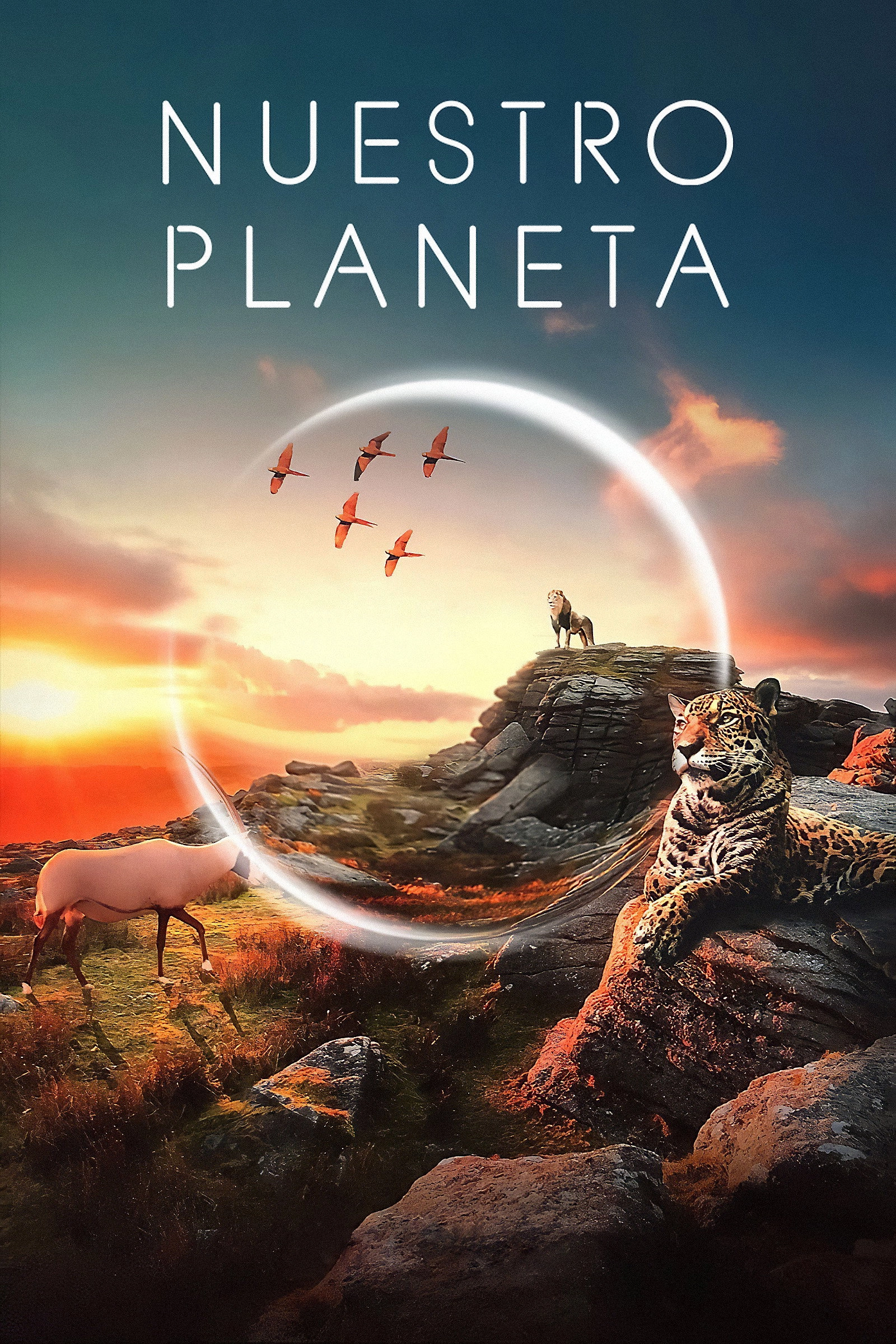Our Planet