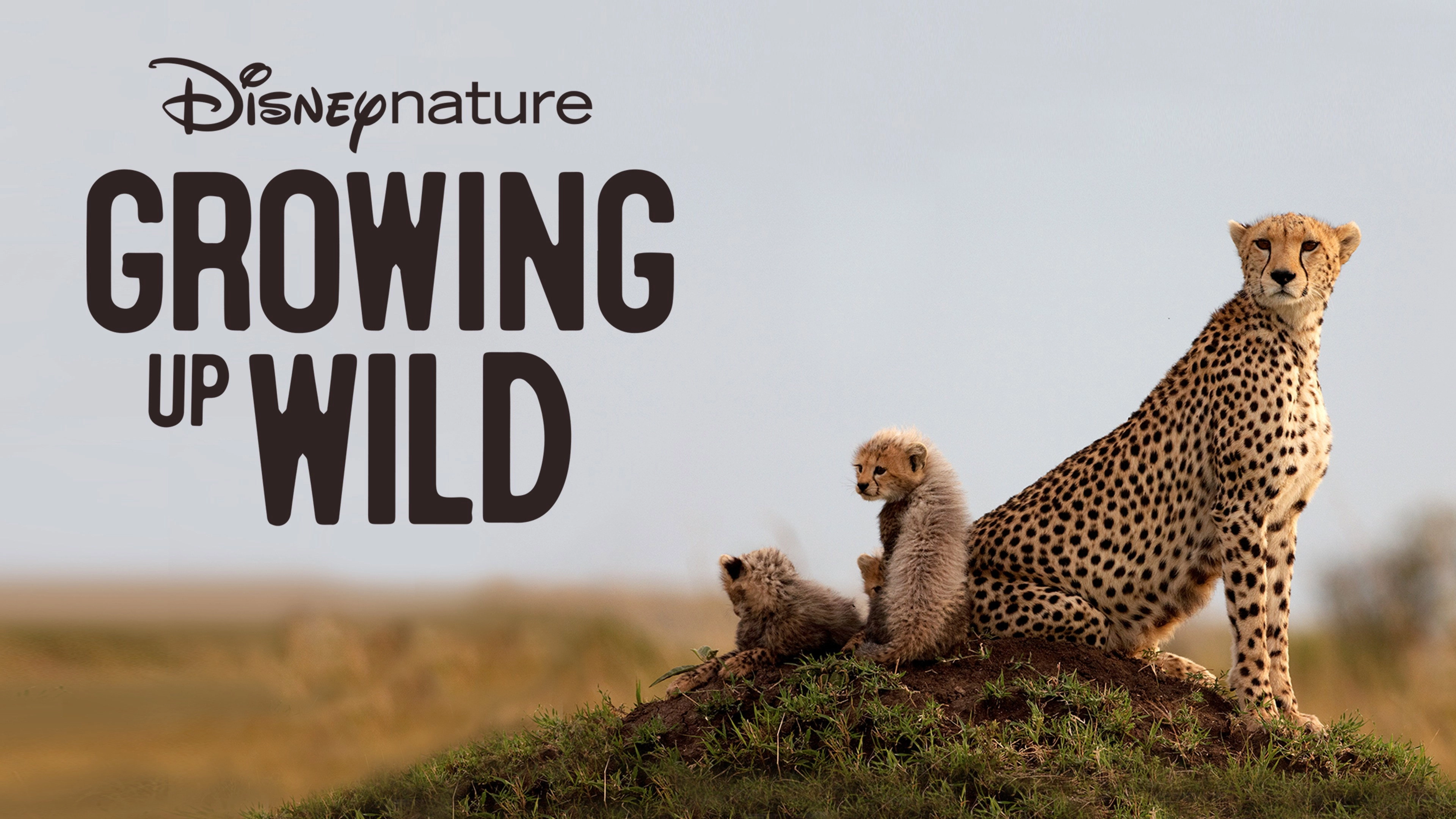 Growing Up Wild