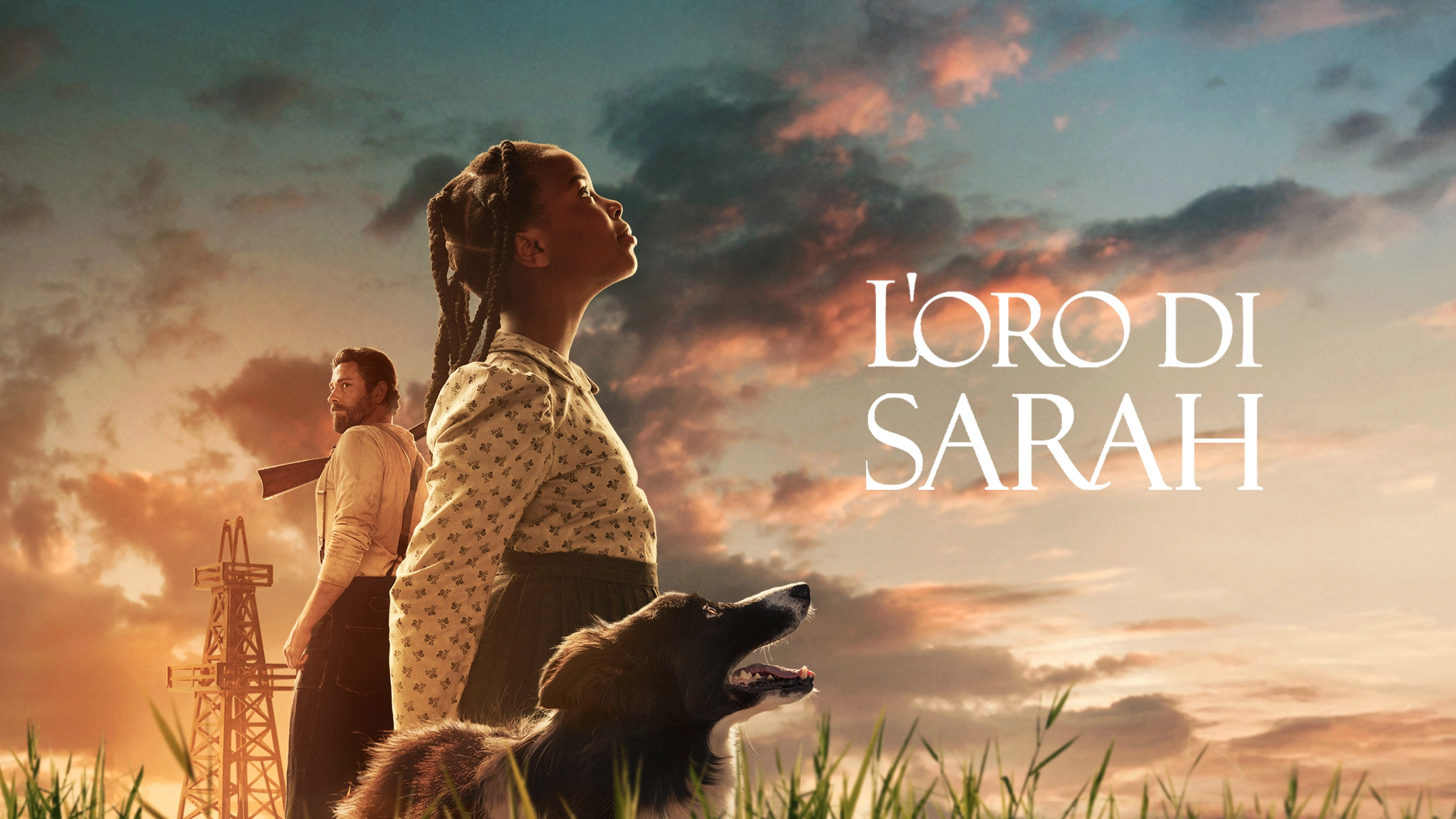 Sarah's Oil