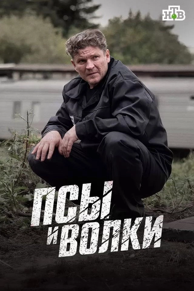 Псы и волки