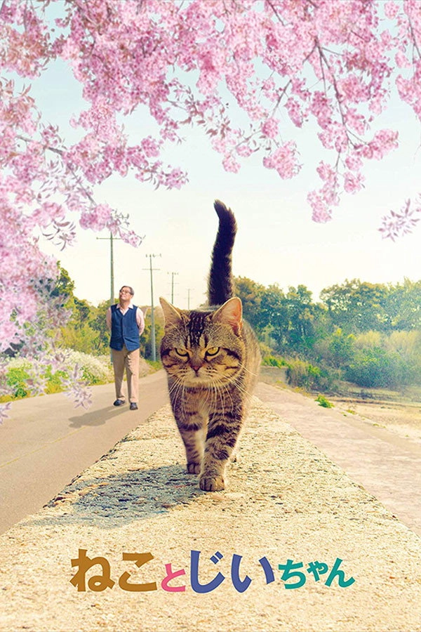 The Island of Cats