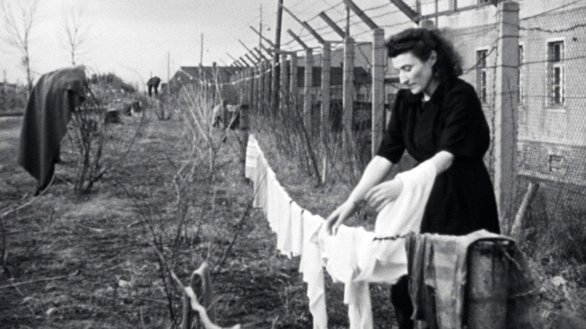 Les survivants, l'impossible départ après la Shoah