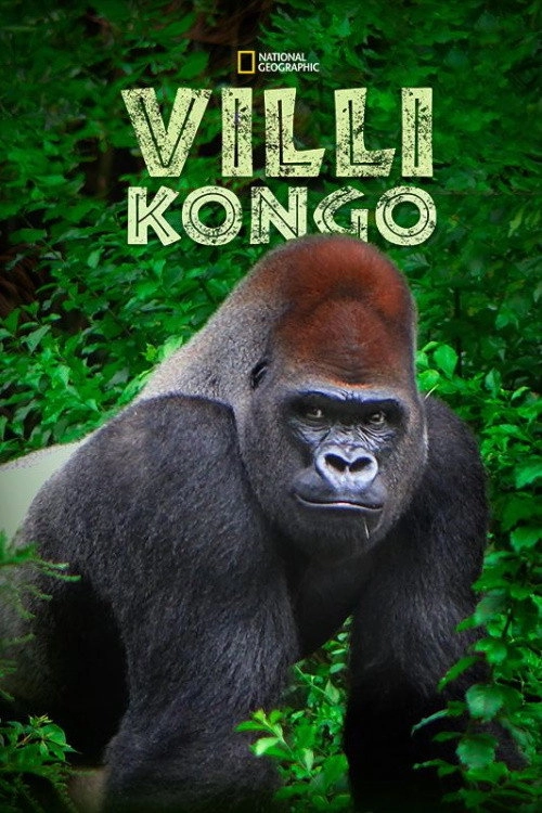 Wild Congo