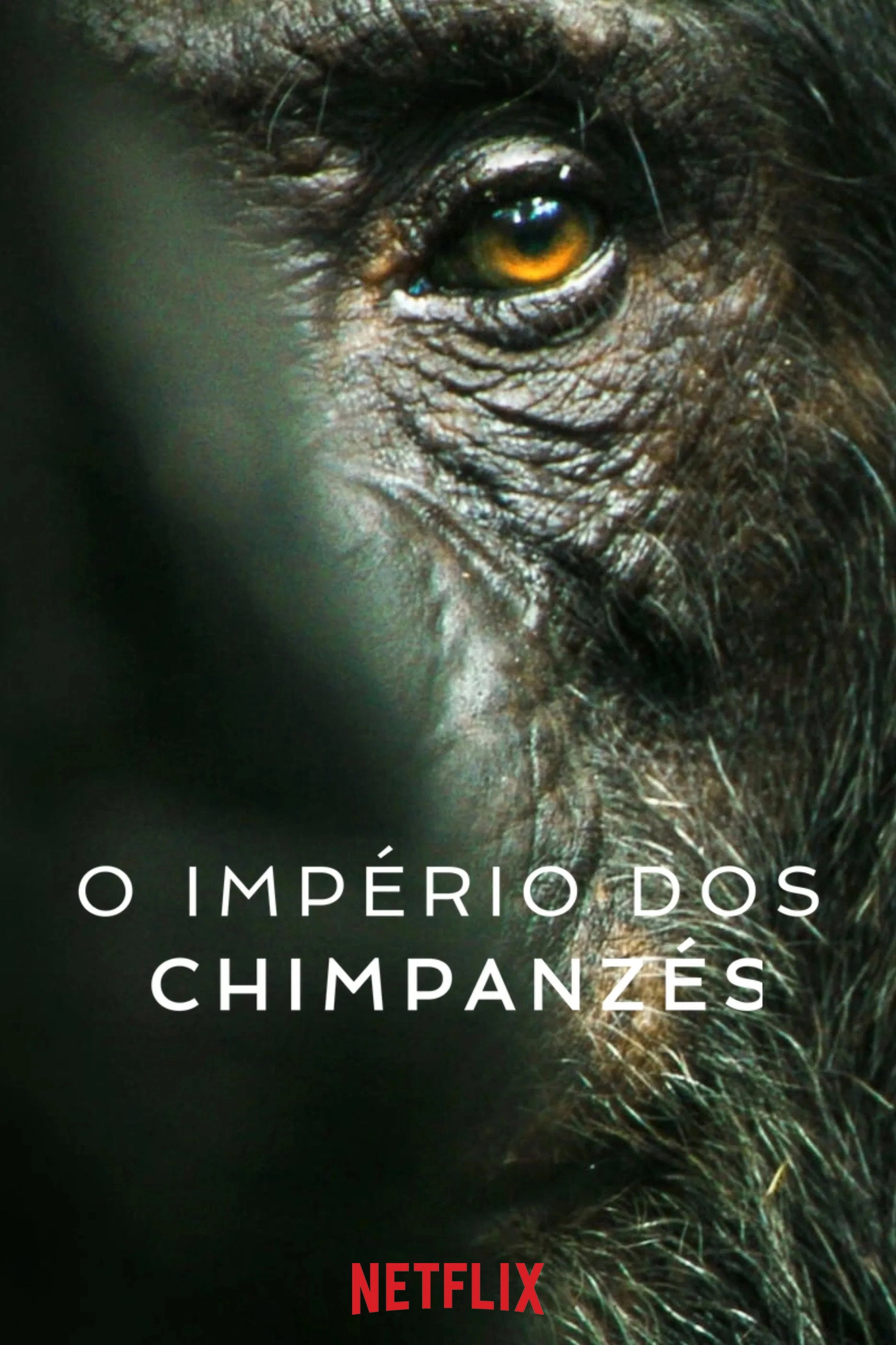 Chimp Empire