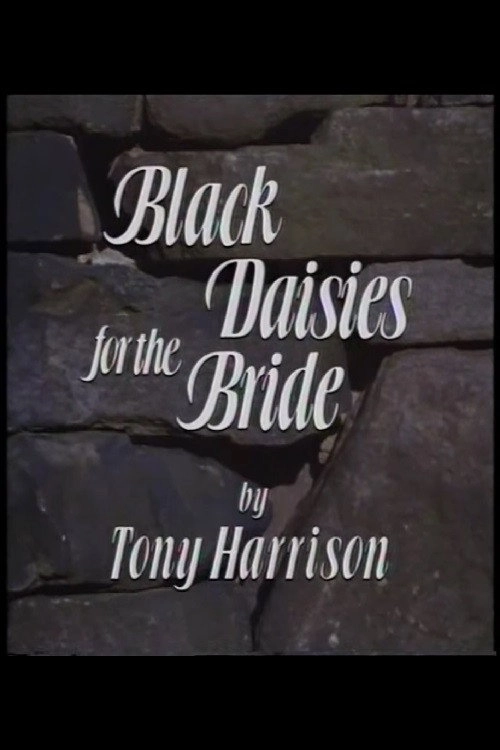 Black Daisies For The Bride