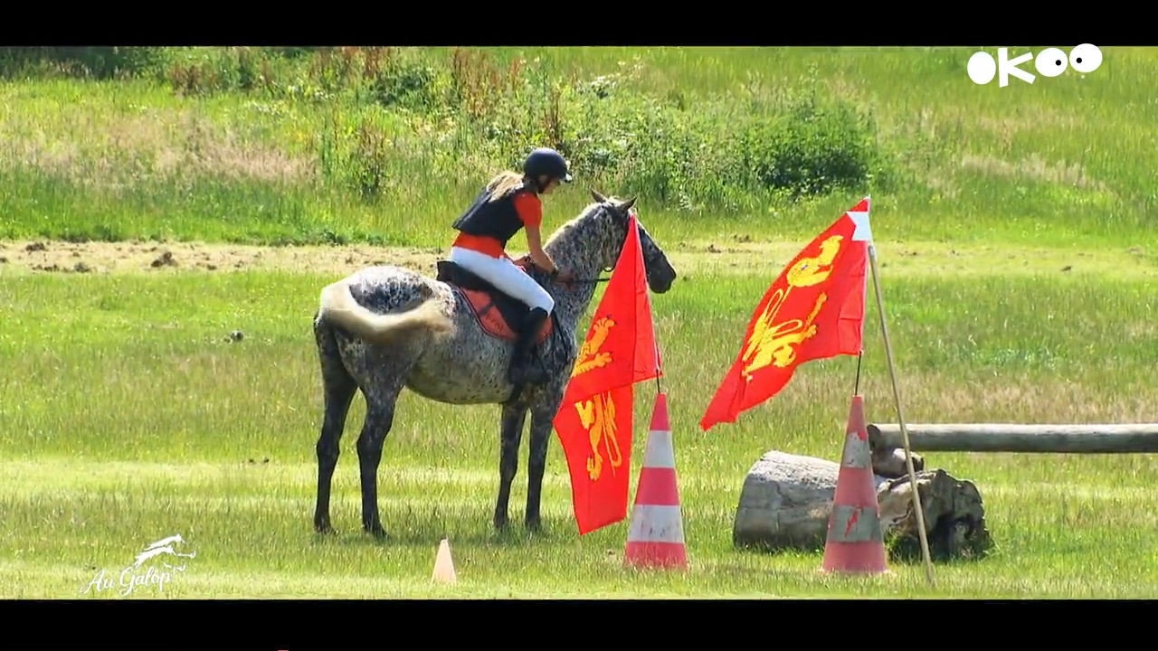 Au galop ! une saison à cheval