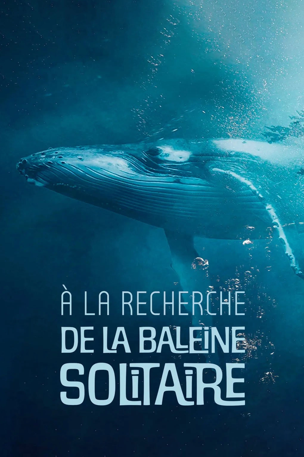 The Loneliest Whale: The Search for 52