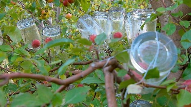 Verrückt nach Meer -  Vom Wasser aus die Welt entdecken