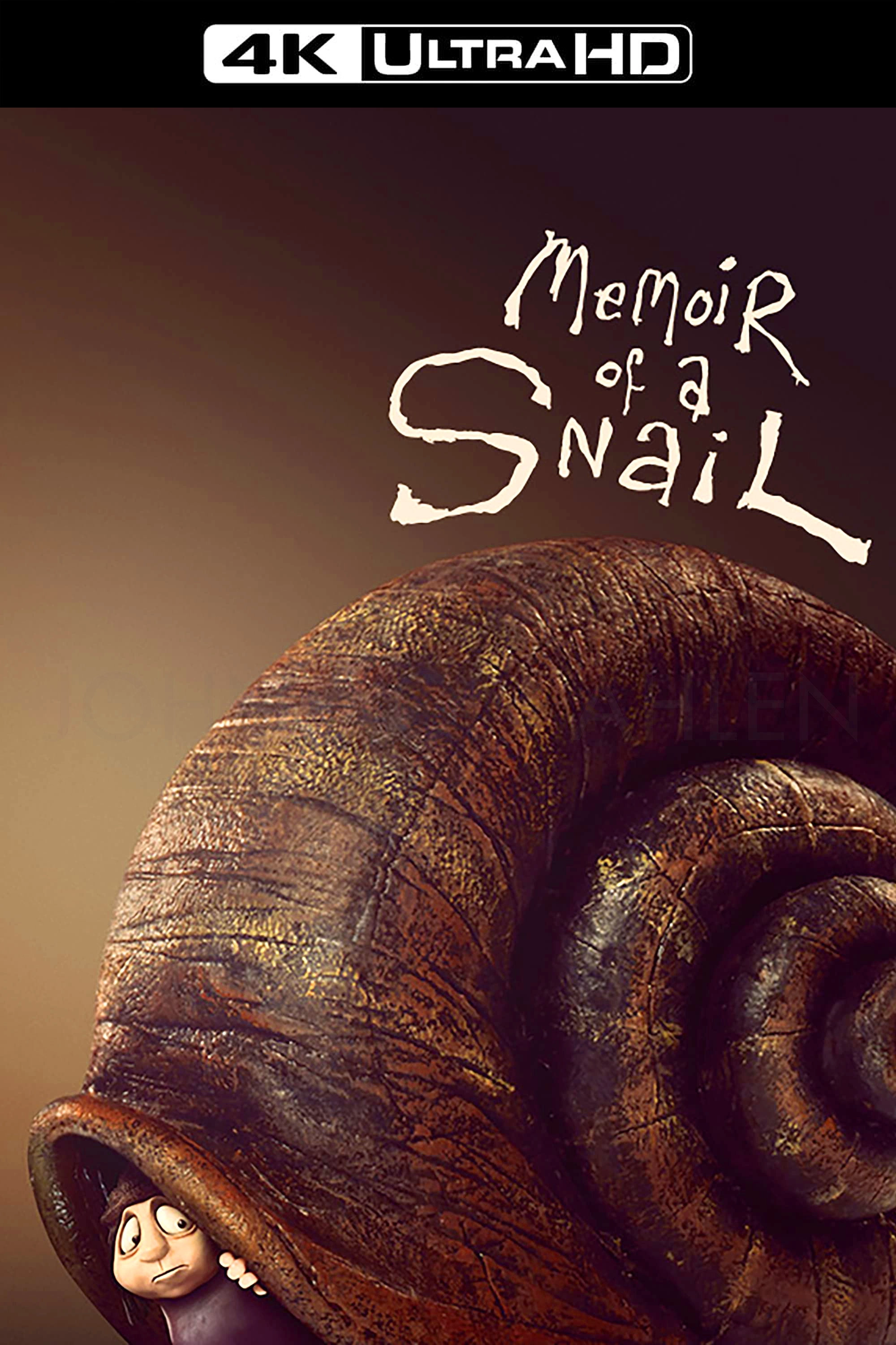 Memoir of a Snail