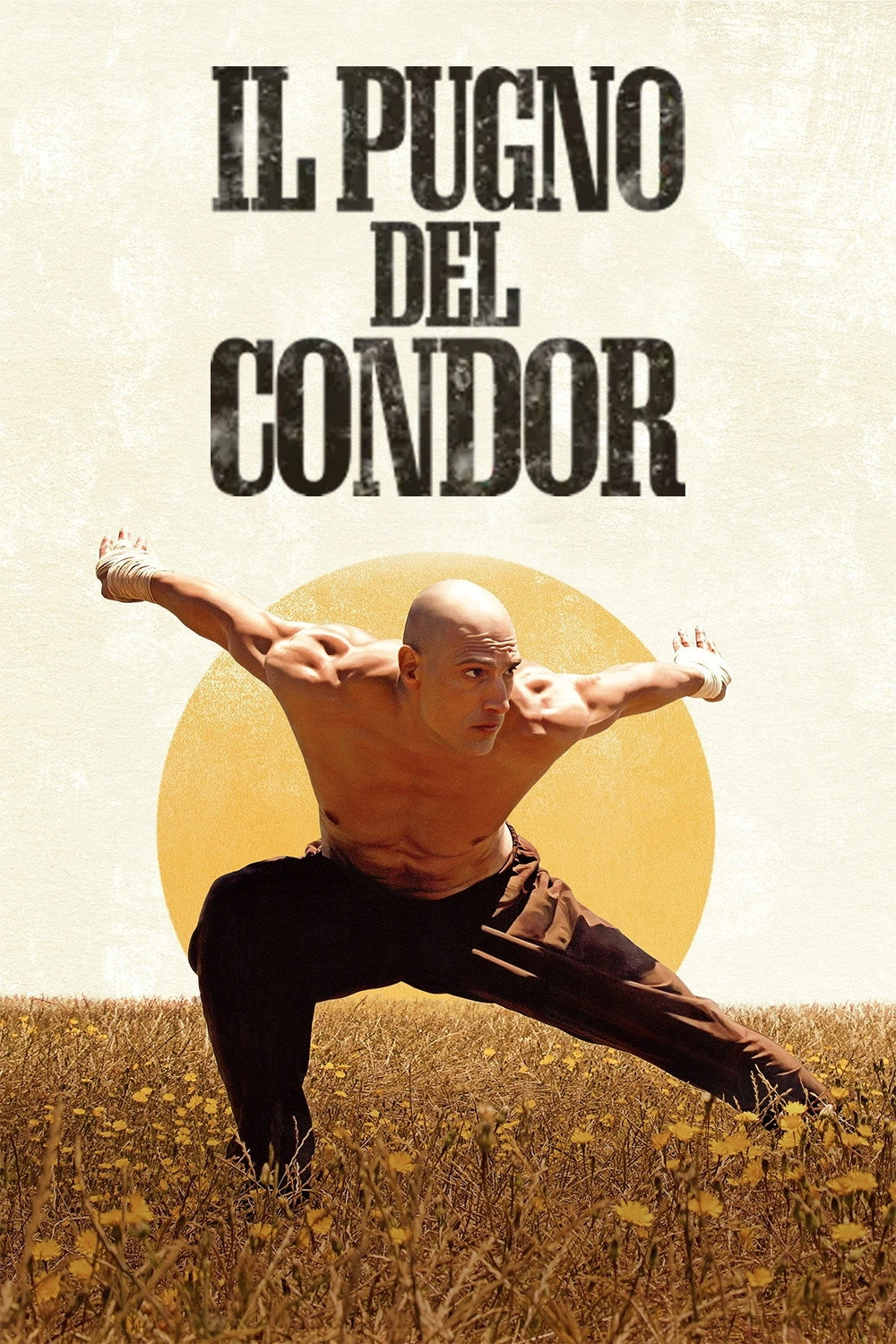 Fist of the Condor