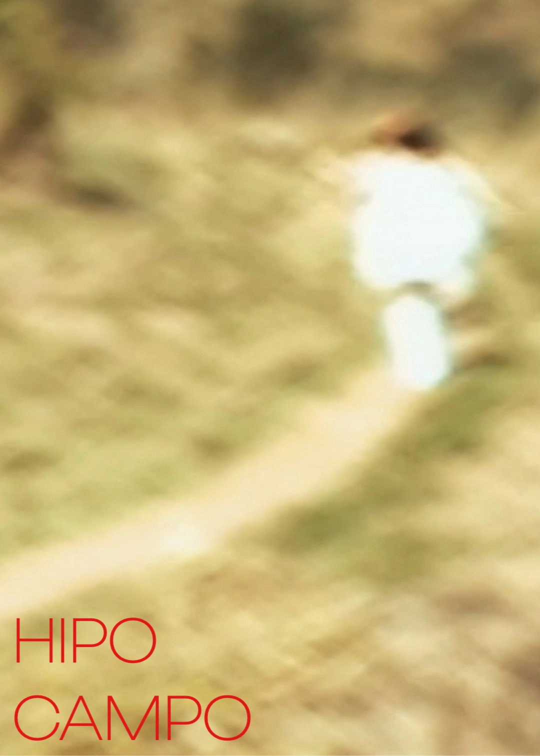 Hipo Campo