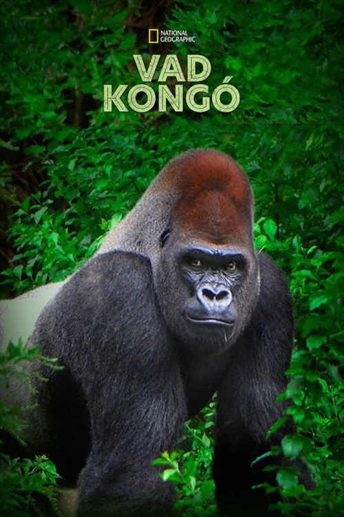 Wild Congo