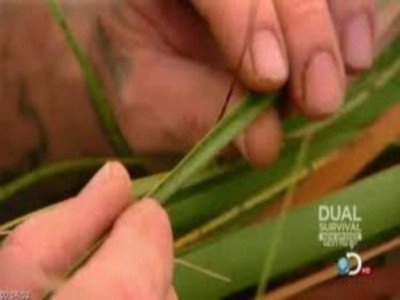 Dual Survival