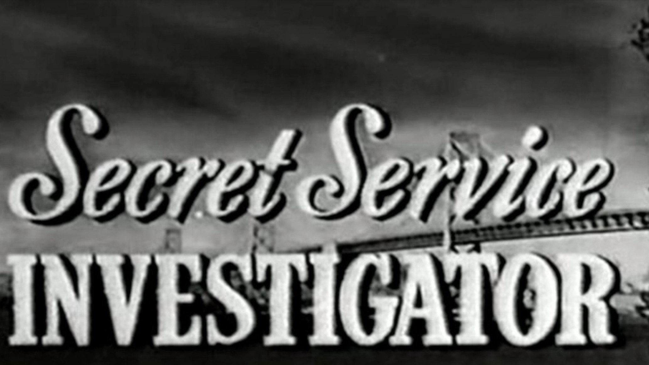 Secret Service Investigator
