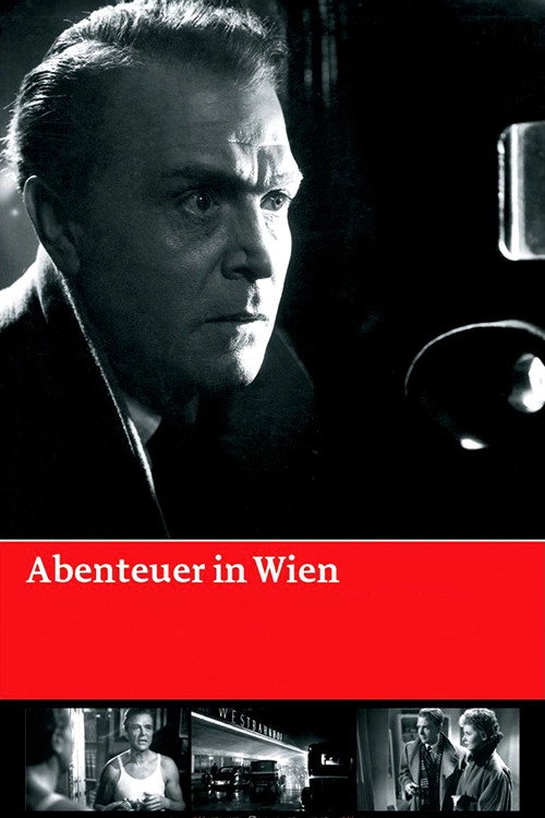 Adventures in Vienna