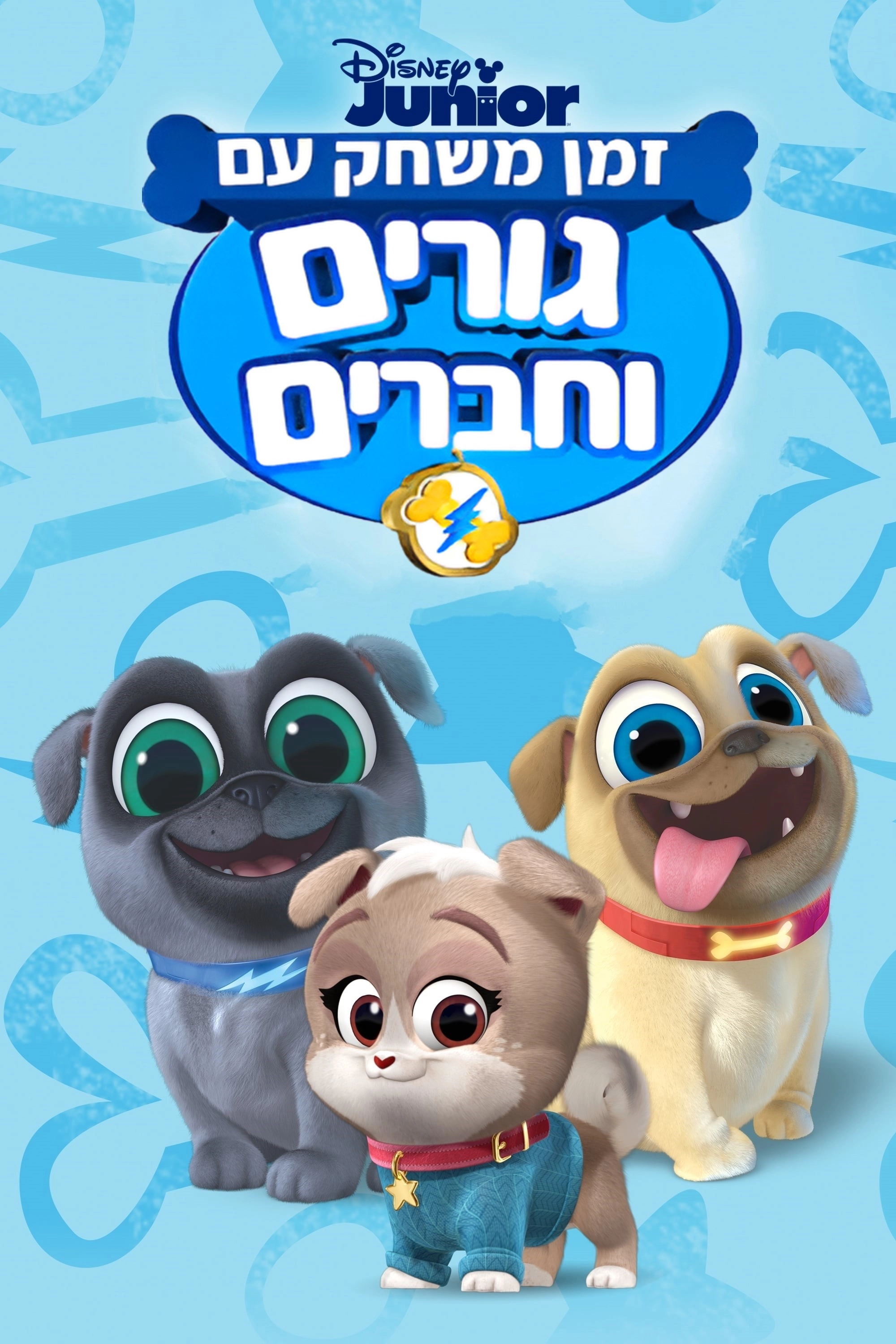Playtime with Puppy Dog Pals