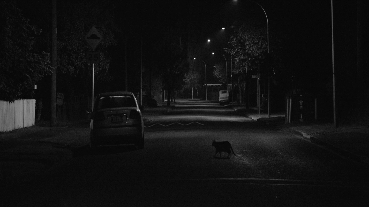 Night Ride