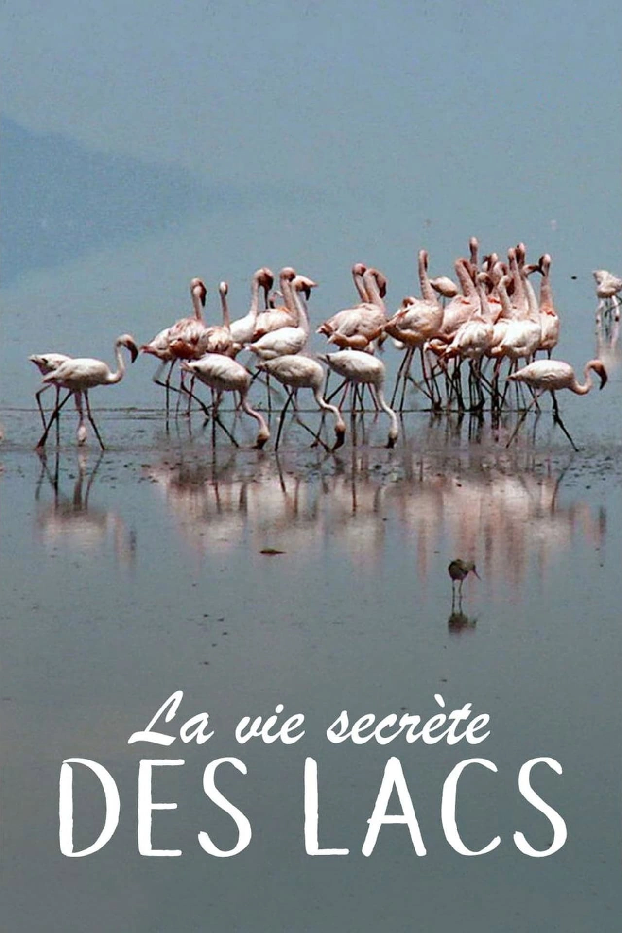 Secret Life of Lakes
