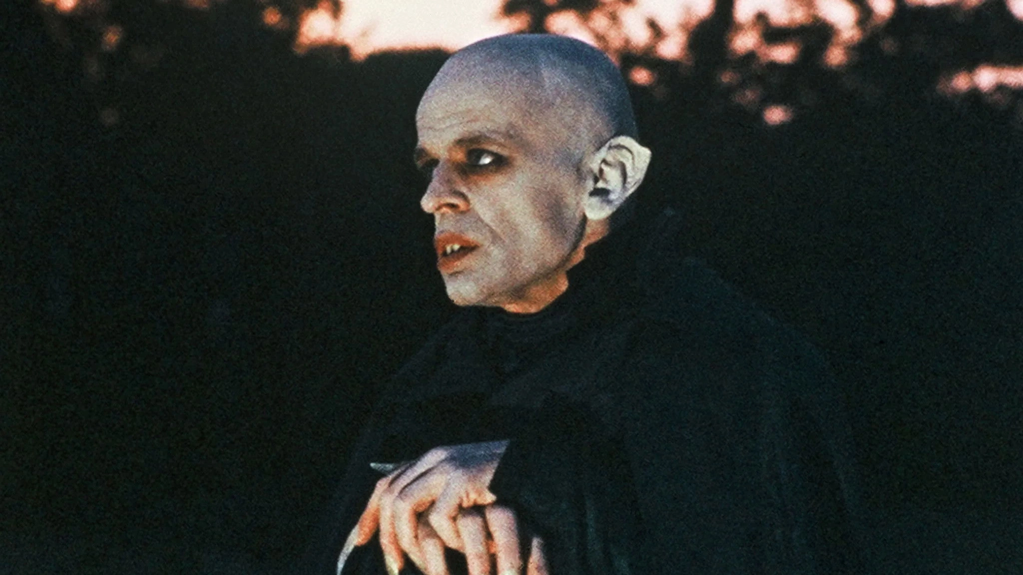 Nosferatu the Vampyre