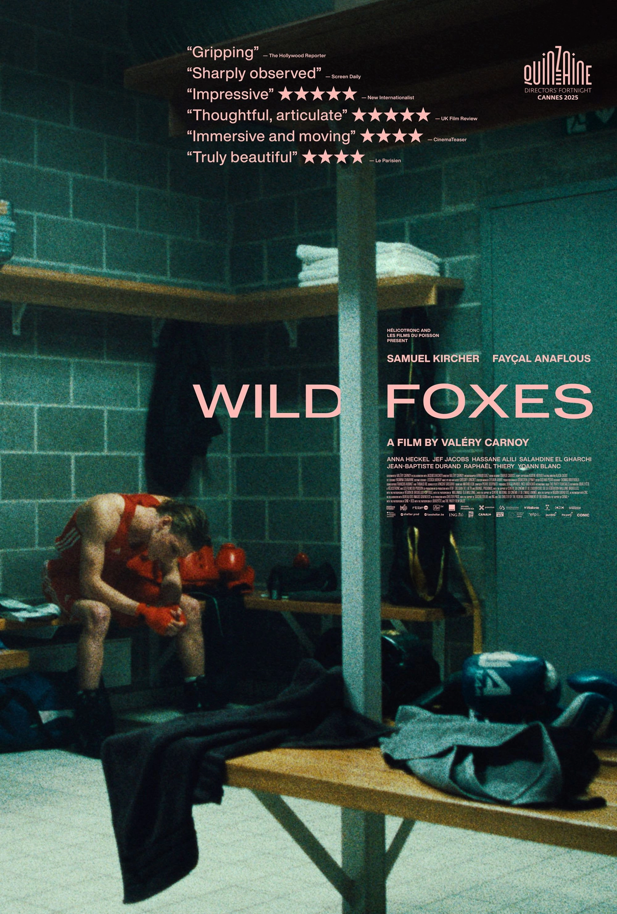 Wild Foxes