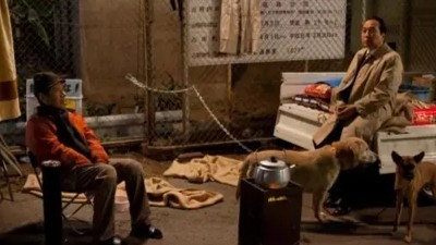 犬飼さんちの犬