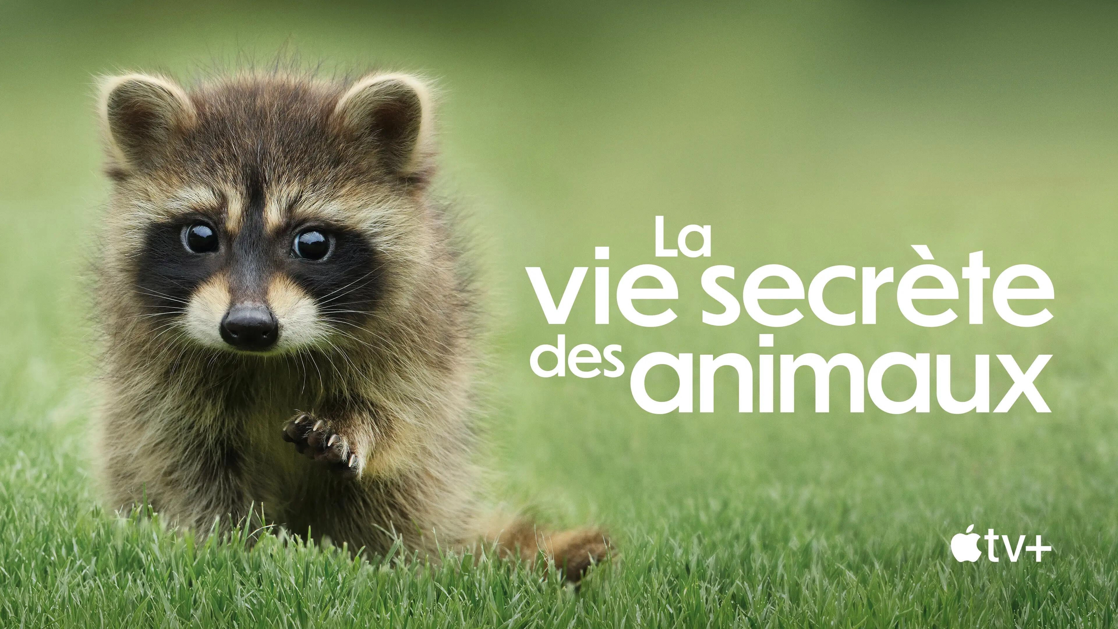 The Secret Lives of Animals