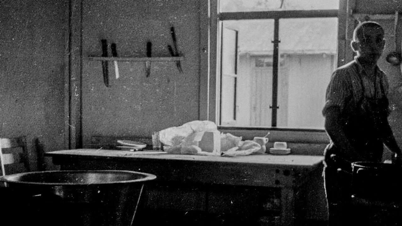 The Mauthausen Resistance
