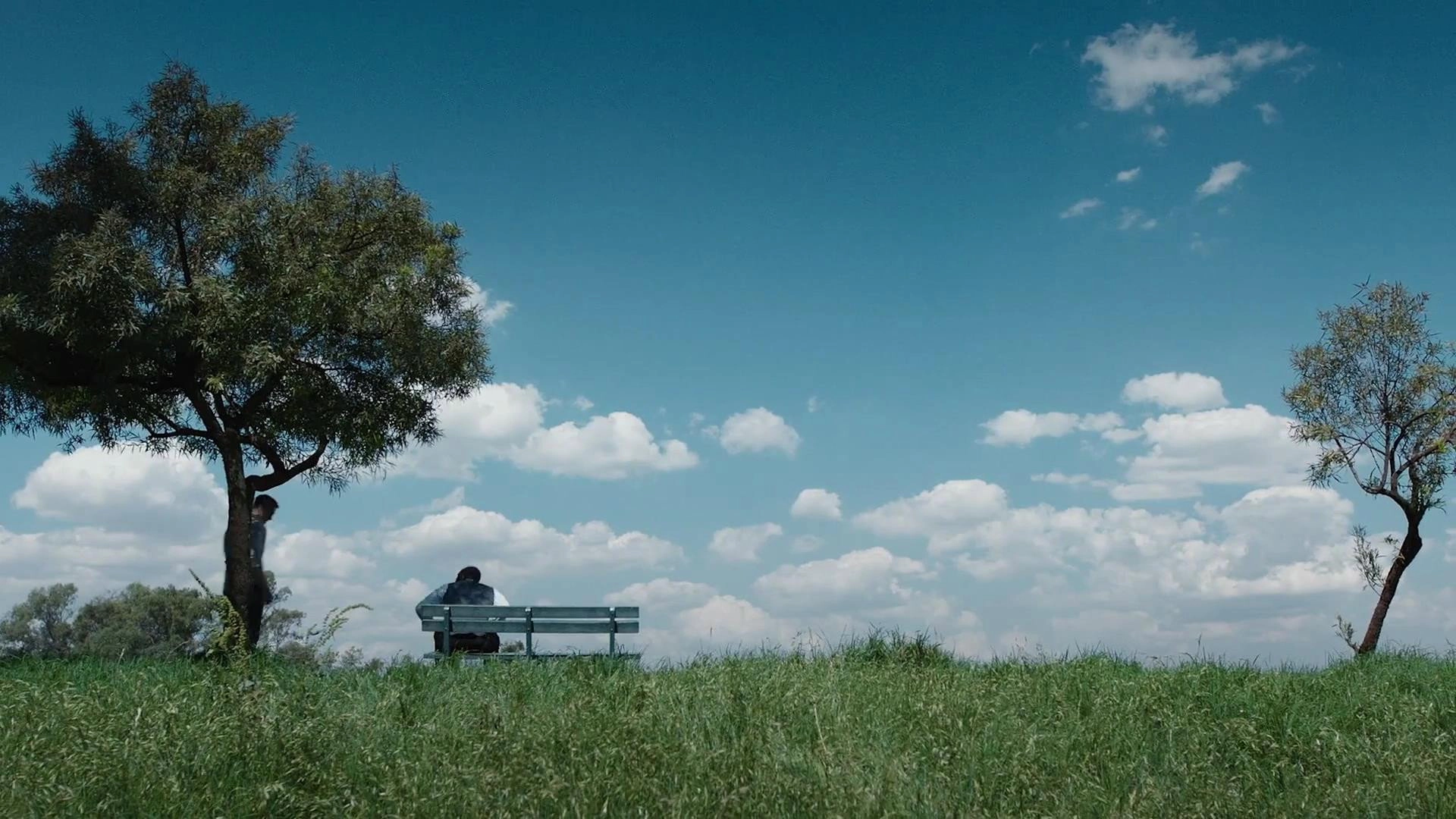 Lioness