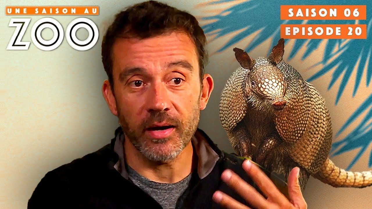 Une saison au zoo