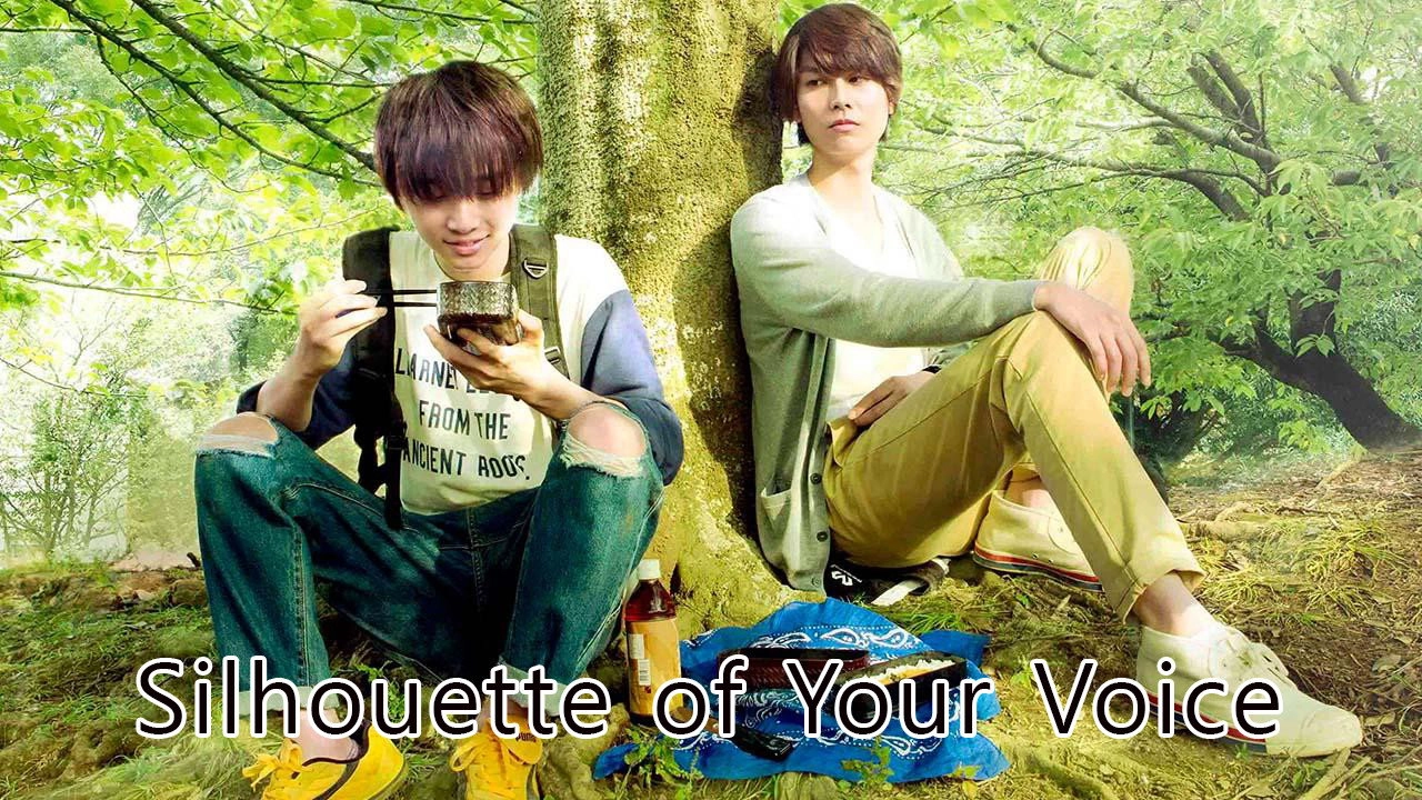 Silhouette of Your Voice