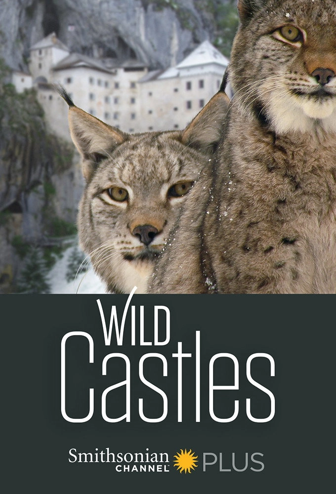 Wild Castles