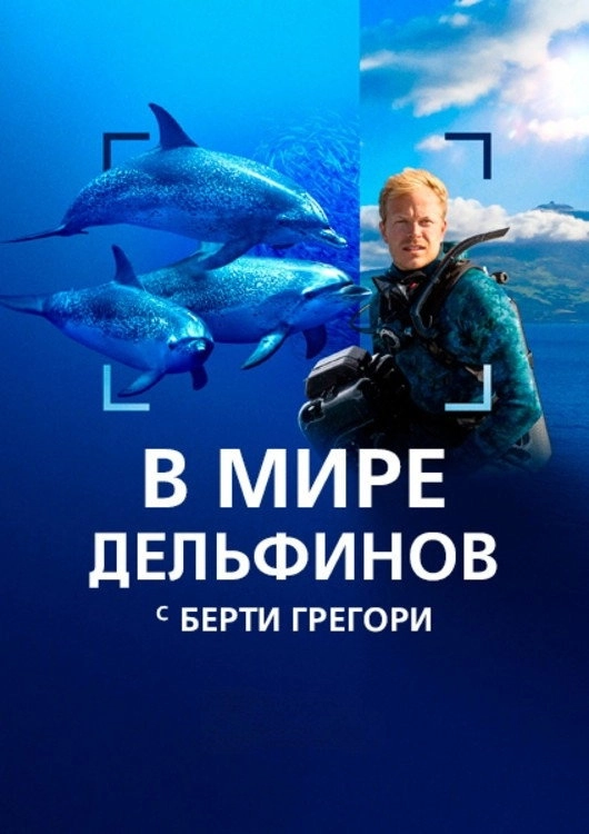 Dolphins Up Close with Bertie Gregory