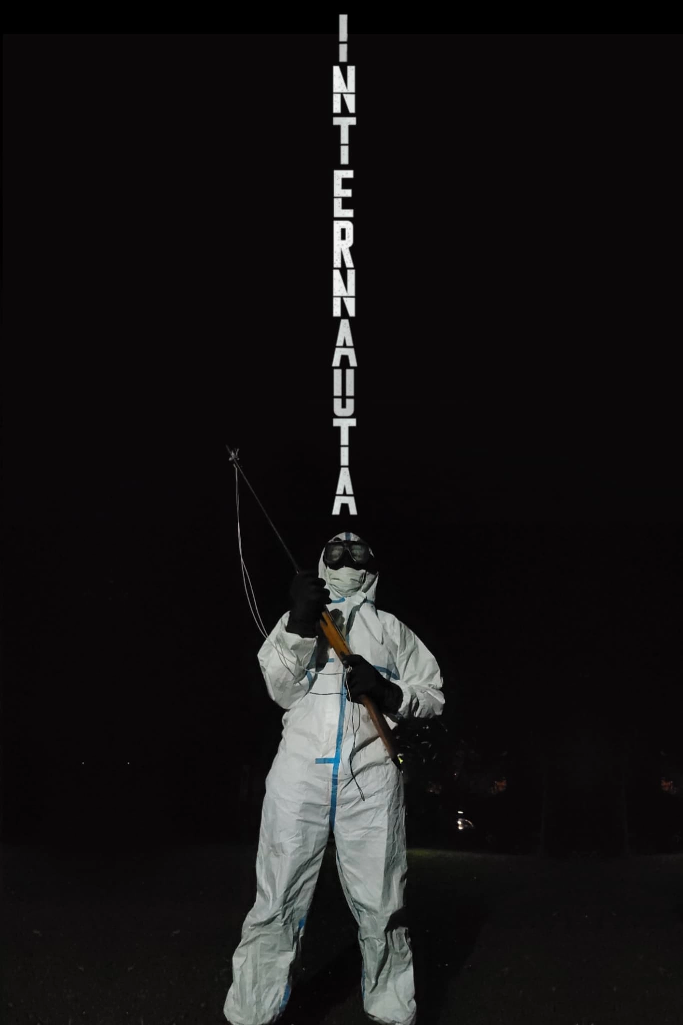 El Internauta