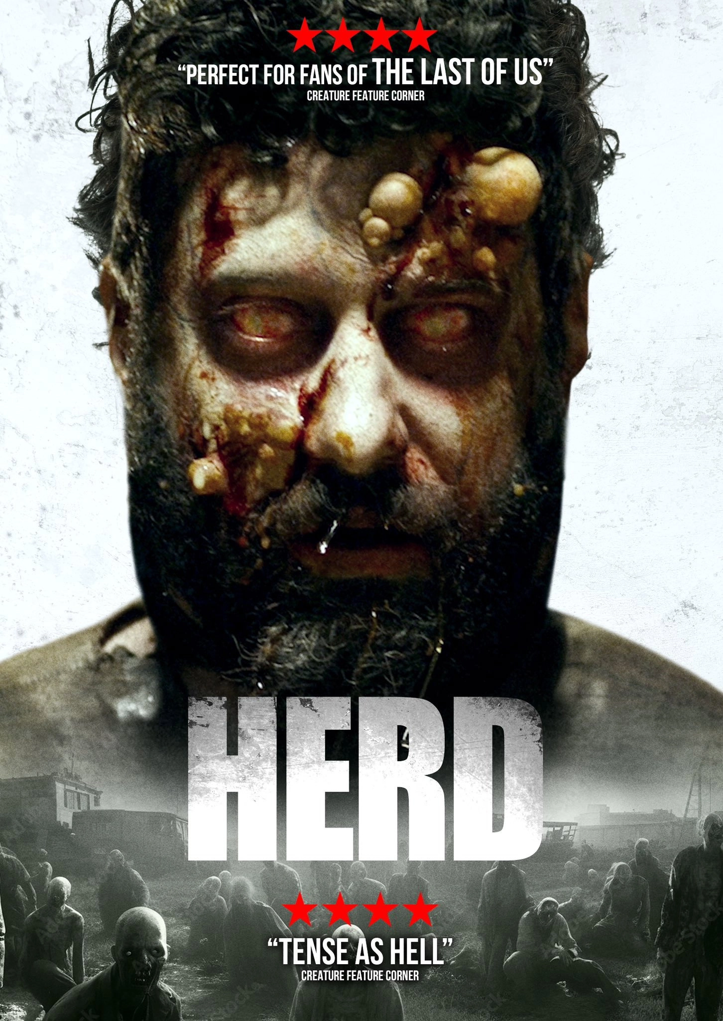 Herd