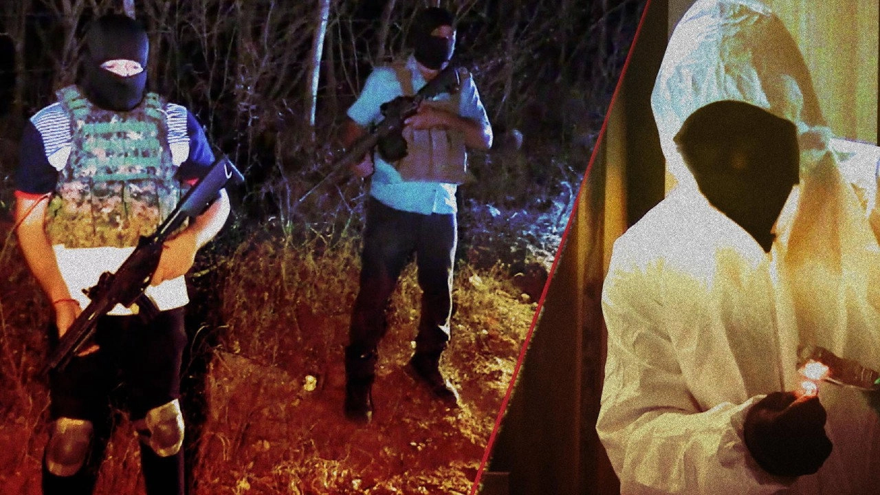 Narco Business