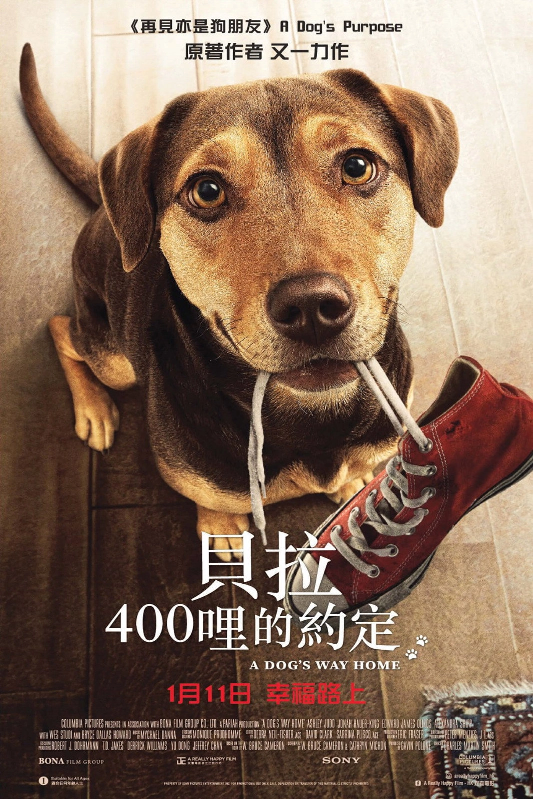 A Dog's Way Home