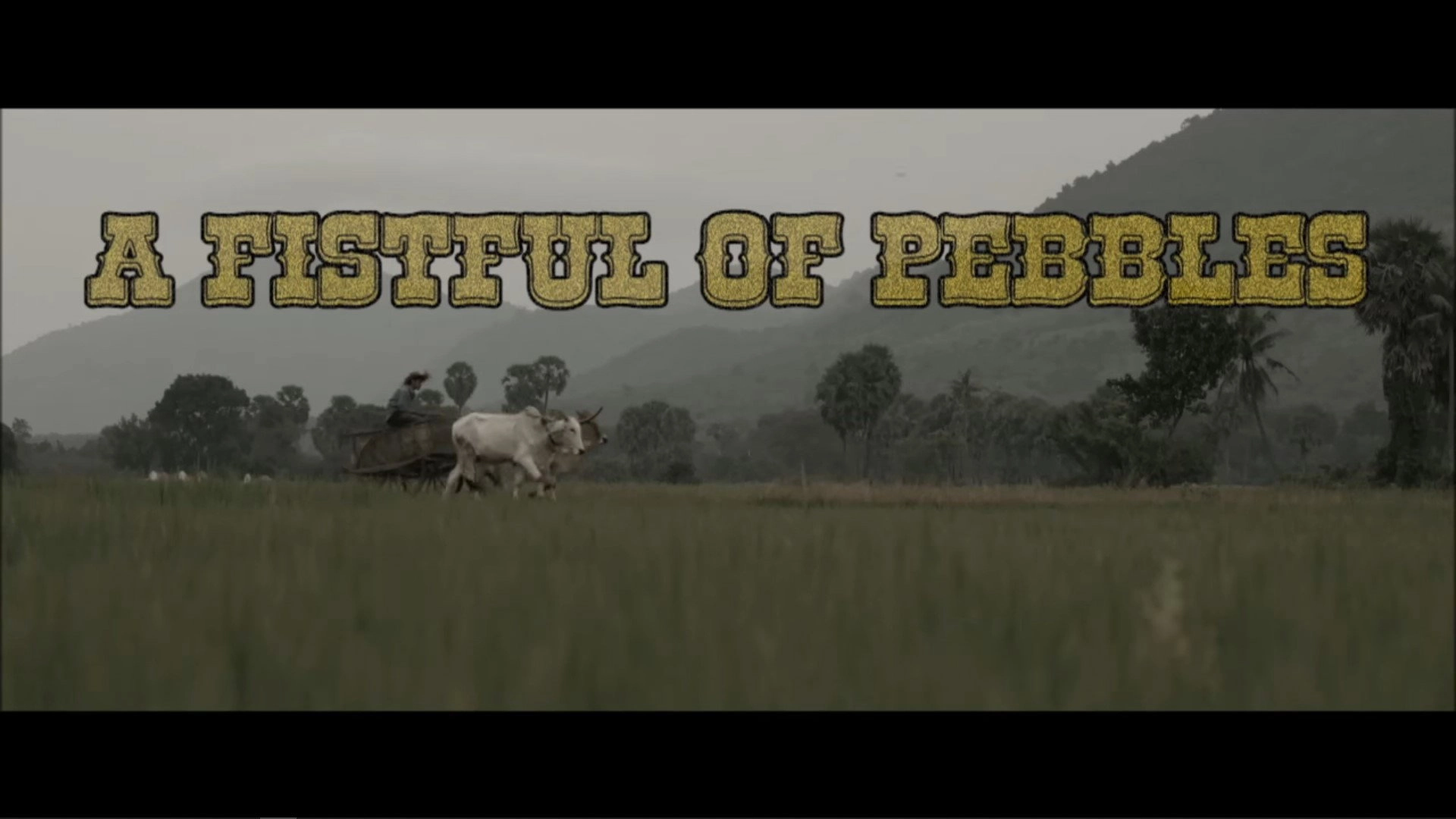 A Fistful Of Pebbles