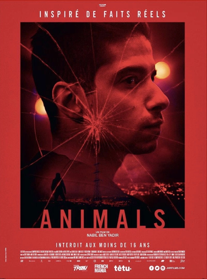 Animals